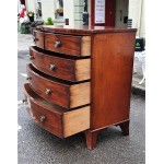 Regency Brass Knob Chest Drawers